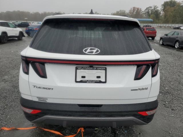 2023 HYUNDAI TUCSON LIM - KM8JECA11PU085105