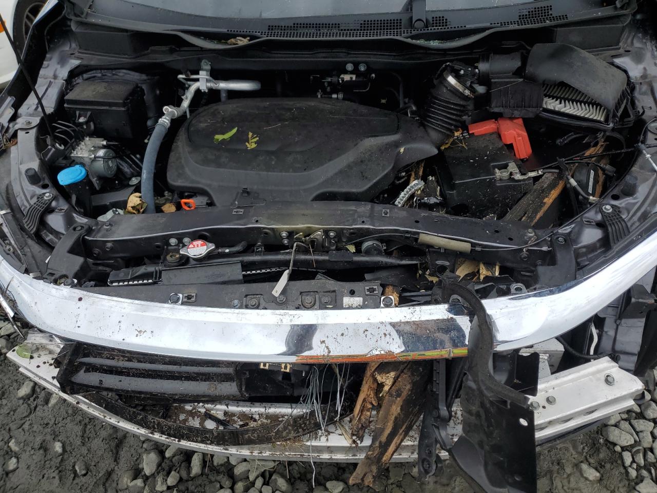 Lot #3312662163 2024 HONDA ODYSSEY EX