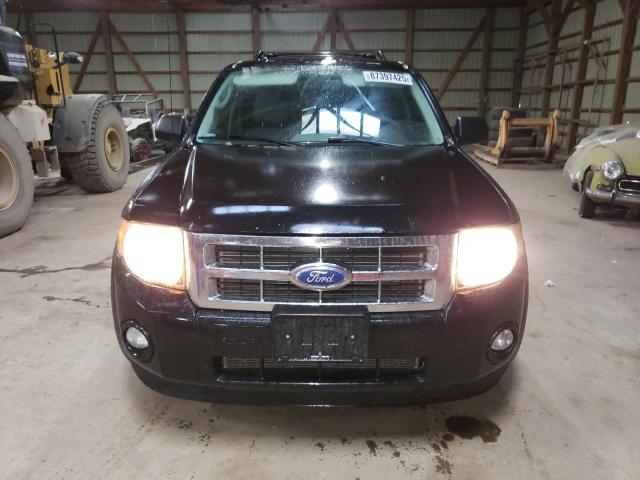 2011 FORD ESCAPE XLT - 1FMCU9DG2BKC20532