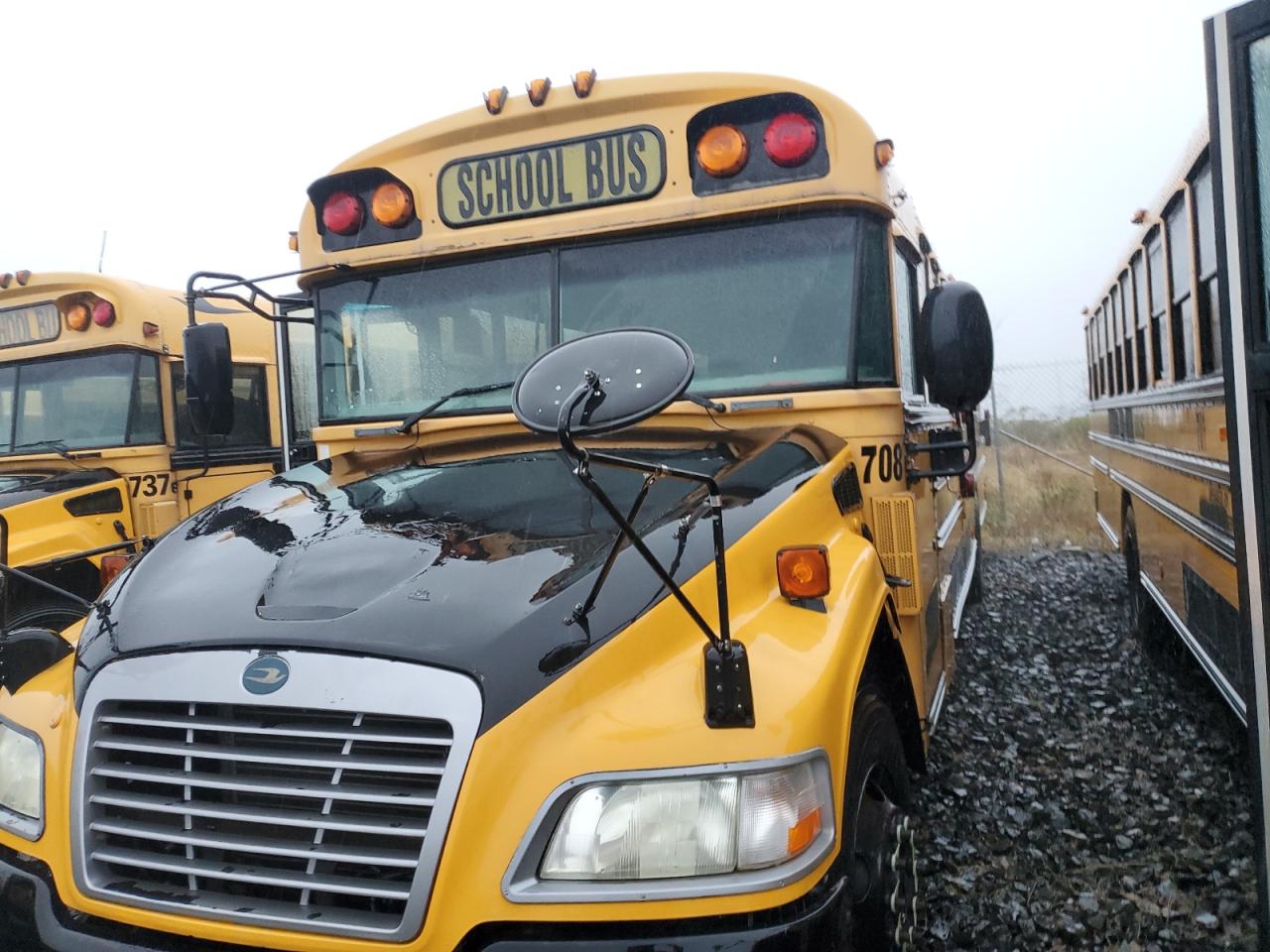 Lot #3276362832 2009 BLUE BIRD SCHOOL BUS