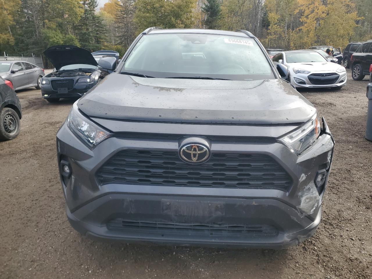 TOYOTA RAV4 XLE