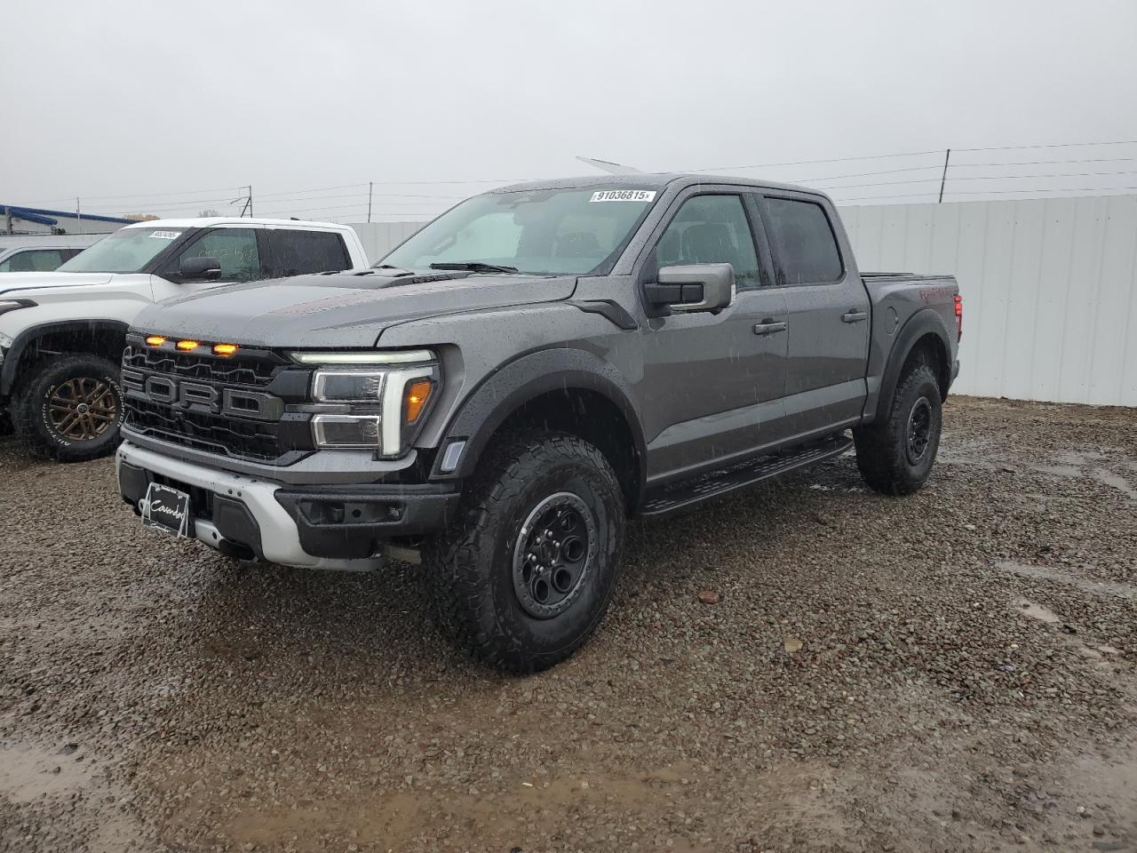 FORD F-150 RAPTOR