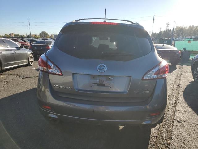 2013 NISSAN MURANO S - JN8AZ1MW8DW314324