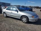 Lot #3292409284 2000 CHEVROLET CAVALIER