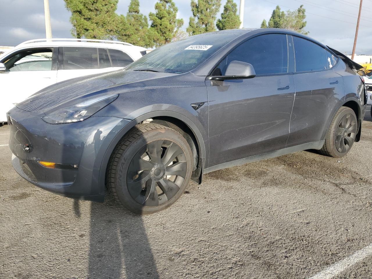 Lot #3311839191 2023 TESLA MODEL Y