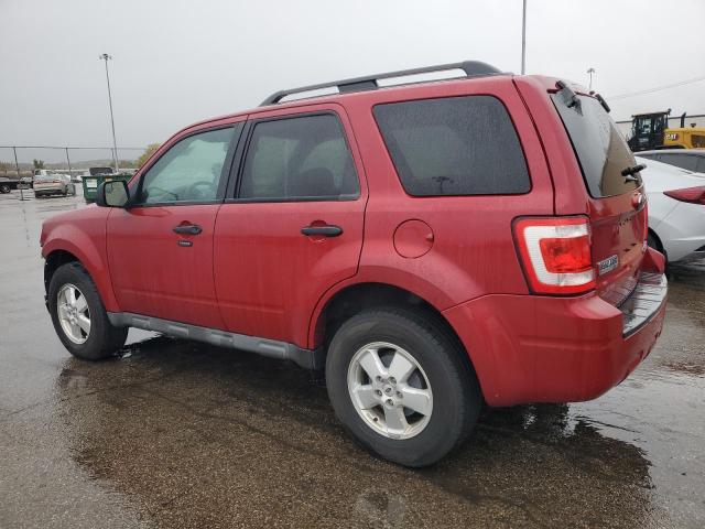 2011 FORD ESCAPE XLT - 1FMCU0D7XBKC50499