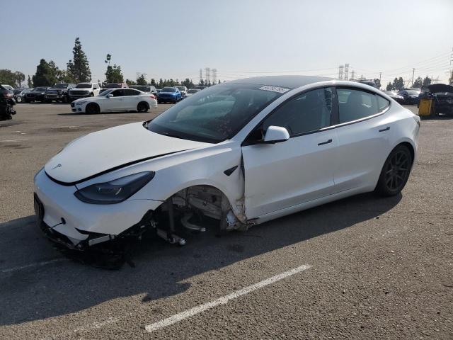 2023 TESLA MODEL 3 #3281770905