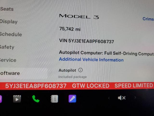 2023 TESLA MODEL 3 #3291597933