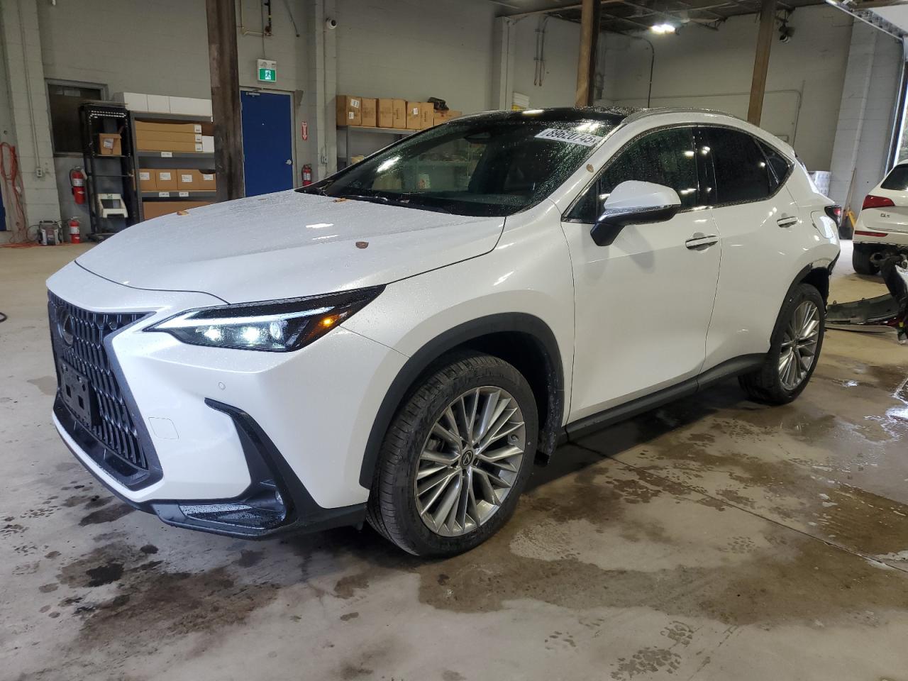 LEXUS NX 350H
