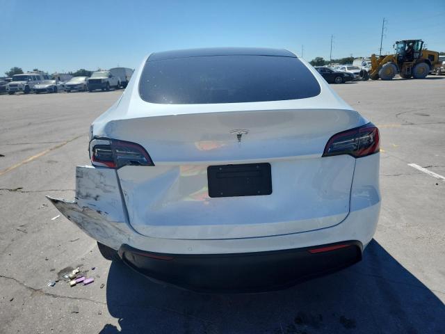 2021 TESLA MODEL Y #3283985853