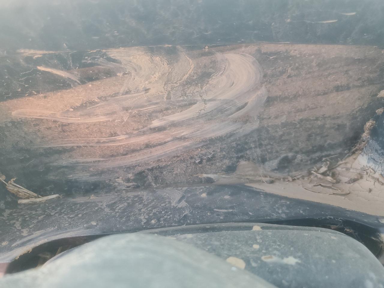 Lot #3287844108 2024 FORD F150 XLT