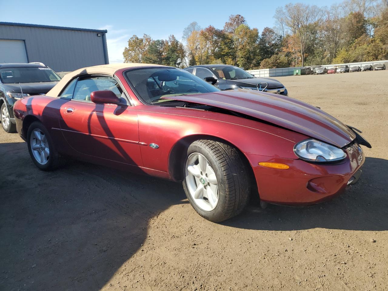 Lot #3287605032 1997 JAGUAR XK8