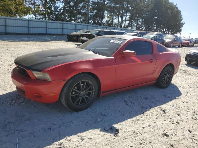 Global Auto Auctions: 2010 FORD MUSTANG