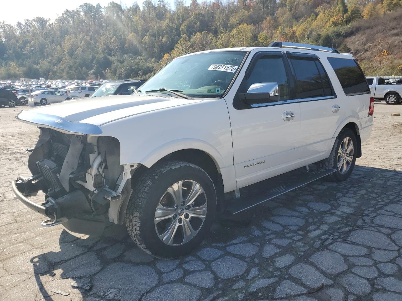 FORD EXPEDITION PLATINUM