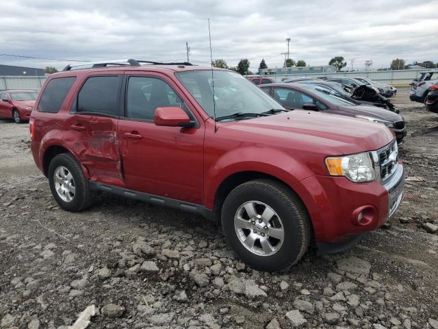2011 FORD ESCAPE LIM - 1FMCU0E71BKC28700