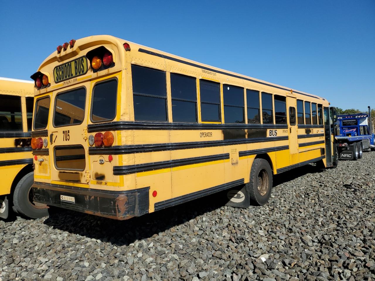Lot #3269765718 2009 BLUE BIRD SCHOOL BUS