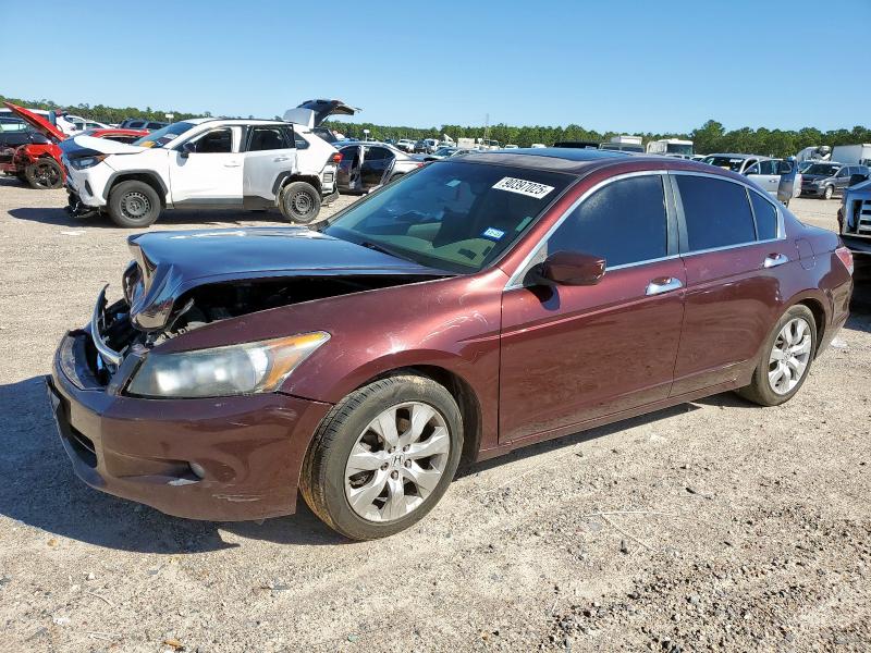 Global Auto Auctions: 2010 HONDA ACCORD EXL