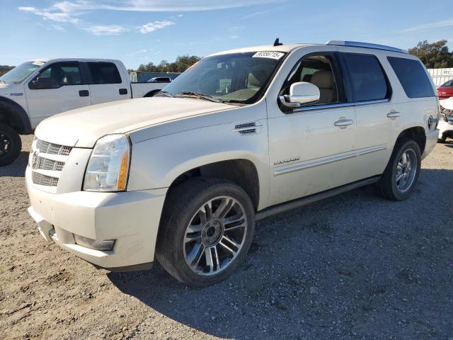 2013 CADILLAC ESCALADE P - 1GYS4CEFXDR345513