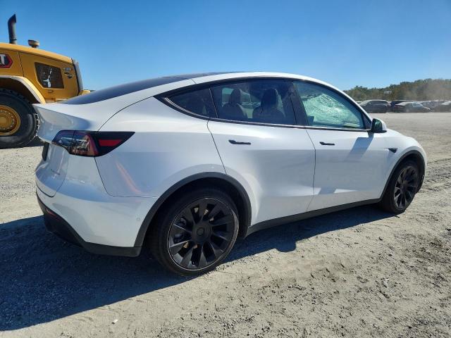 2021 TESLA MODEL Y #3281635399