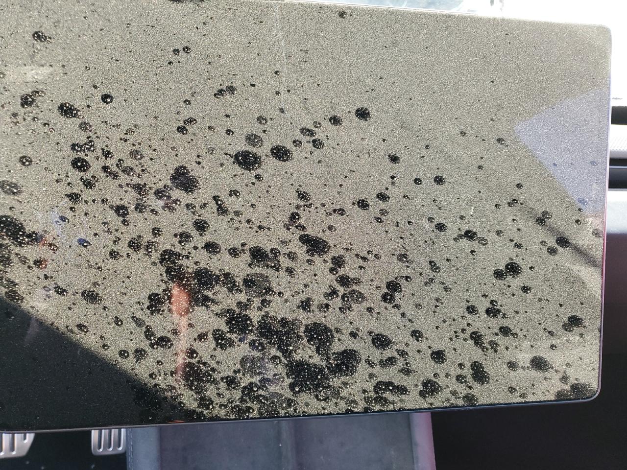 Lot #3311565250 2024 TESLA MODEL 3