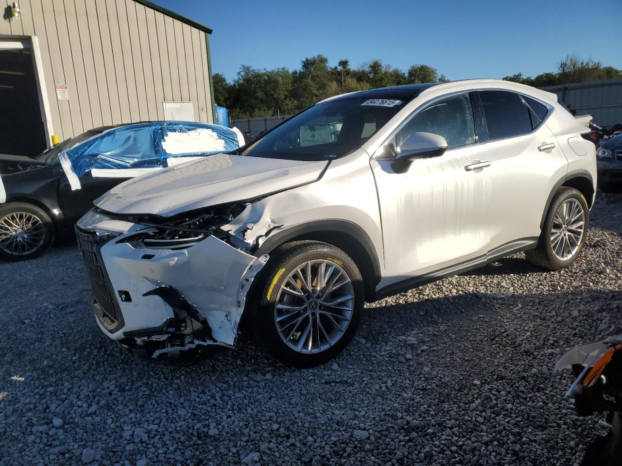 LEXUS NX 350 LUXURY