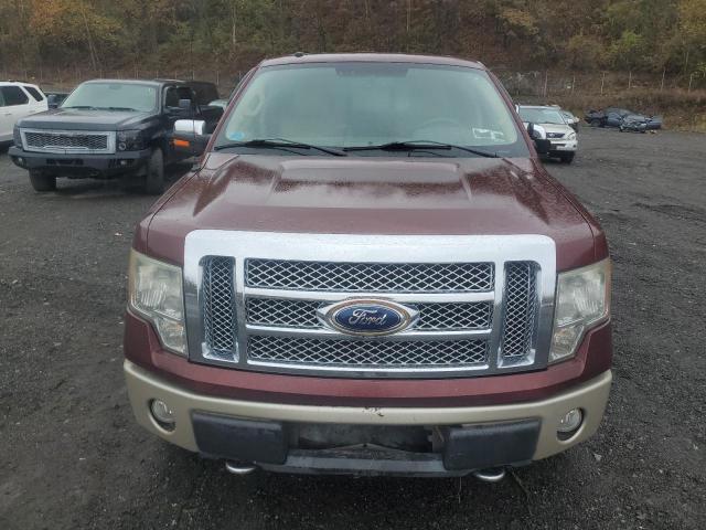 2010 FORD F-150 - 1FTFX1EV5AFA31551