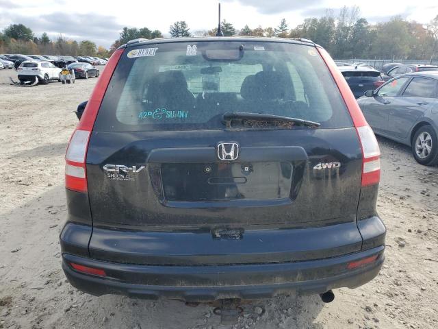 2010 HONDA CR-V LX - 5J6RE4H33AL065918