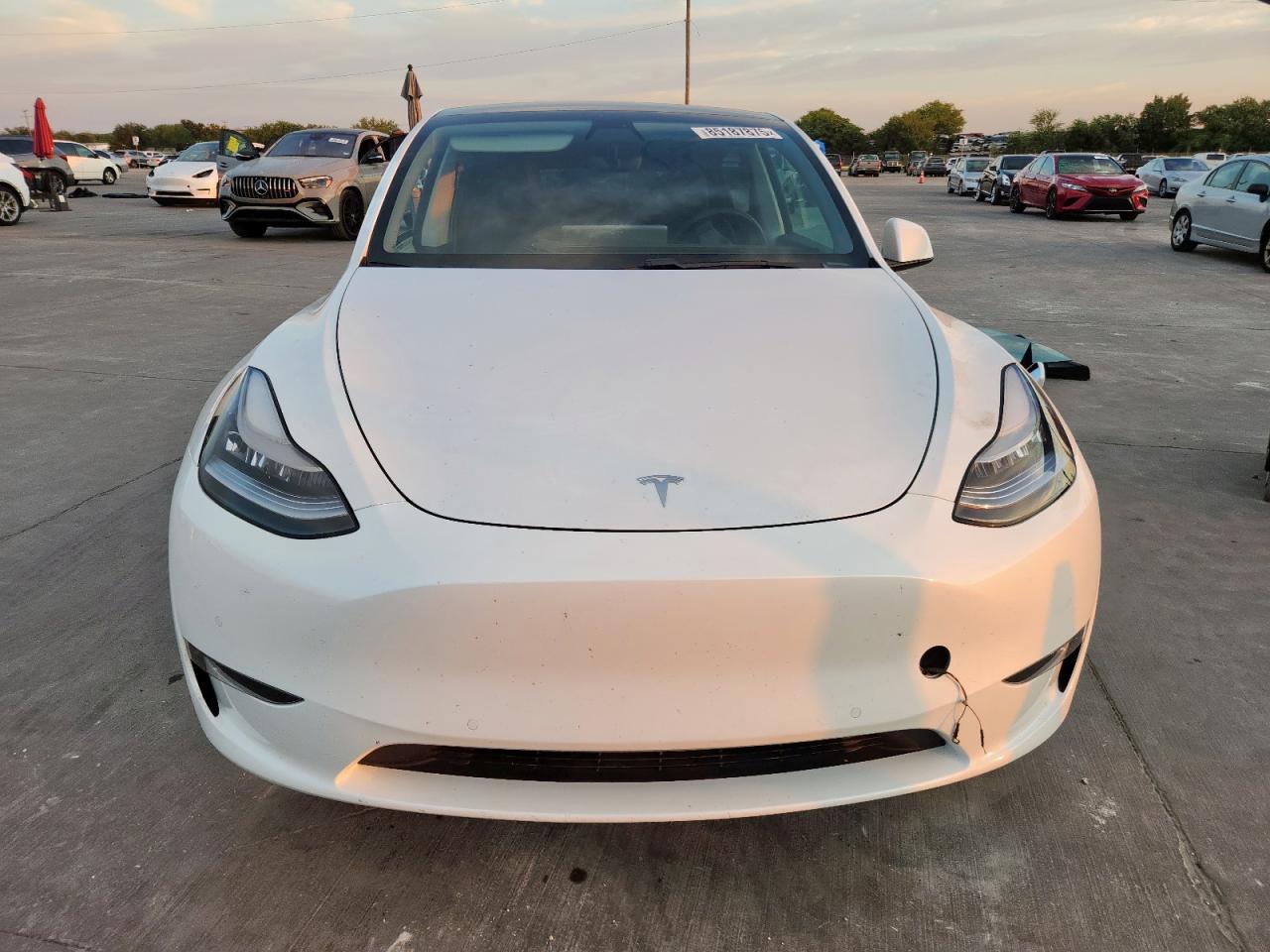Lot #3305610724 2021 TESLA MODEL Y