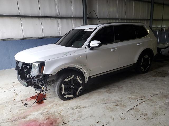 2024 KIA TELLURIDE - 5XYP3DGC2RG461186