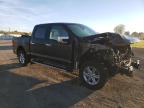 Lot #3293350454 2024 FORD F150 XLT