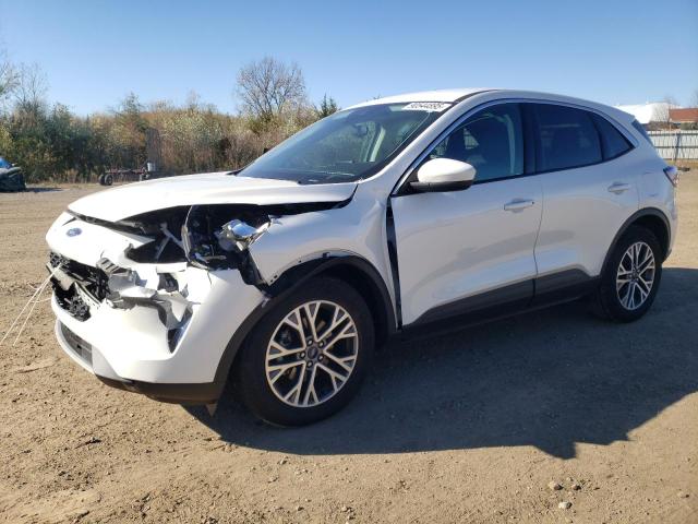 Global Auto Auctions: 2022 FORD ESCAPE SEL