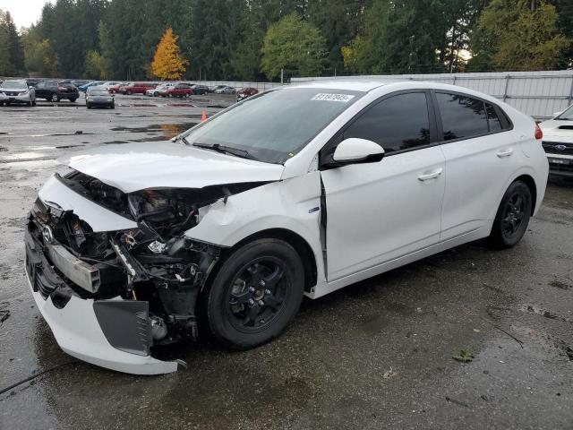 Global Auto Auctions: 2019 HYUNDAI IONIQ BLUE