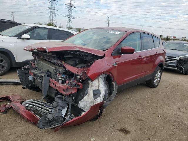 Global Auto Auctions: 2019 FORD ESCAPE SE