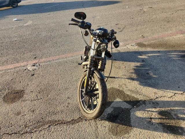 2021 HARLEY-DAVIDSON XL883 N #3304099493