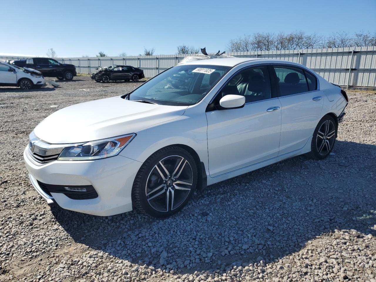 HONDA ACCORD SPORT SPECIAL EDITION