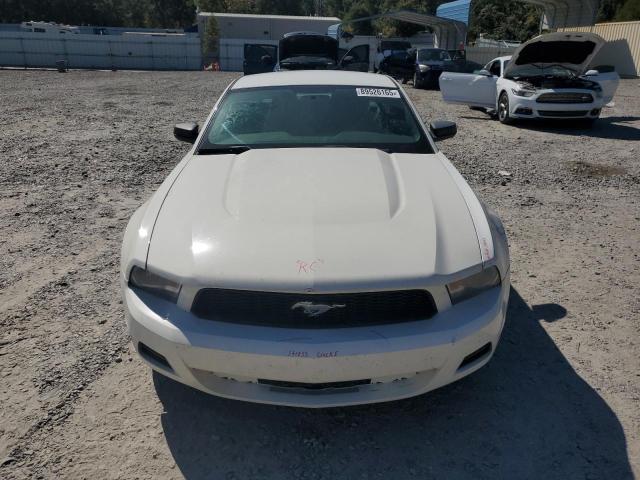 2012 FORD MUSTANG - 1ZVBP8AMXC5265694