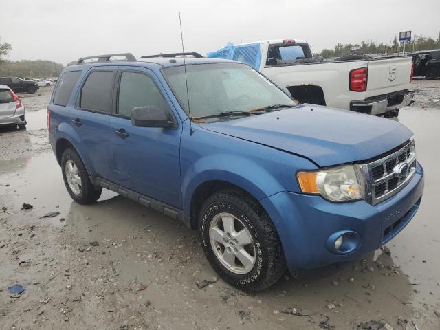 2010 FORD ESCAPE XLT - 1FMCU9DGXAKA01316