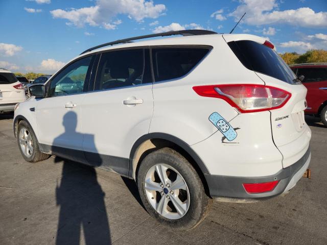 2014 FORD ESCAPE SE - 1FMCU9G91EUA13538