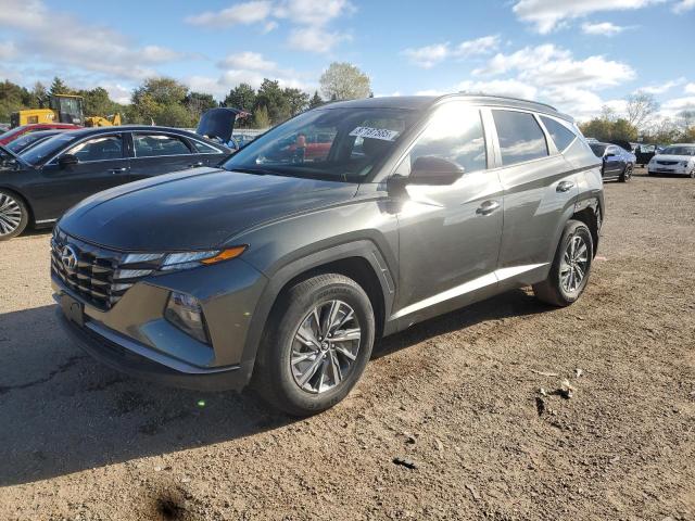 Global Auto Auctions: 2022 HYUNDAI TUCSON BLU