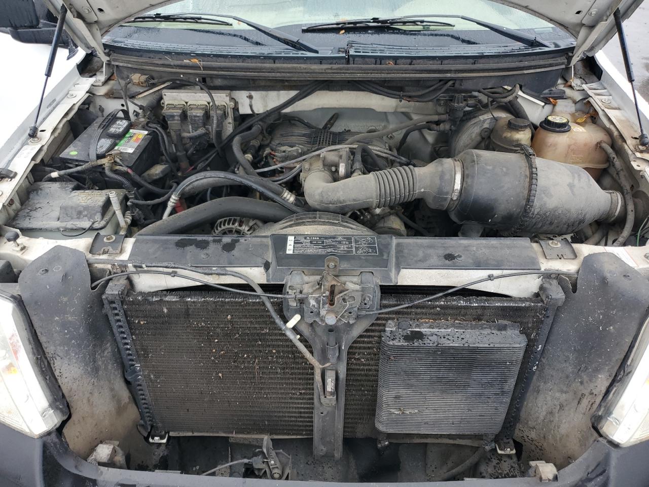 Lot #3290228225 2008 FORD F150