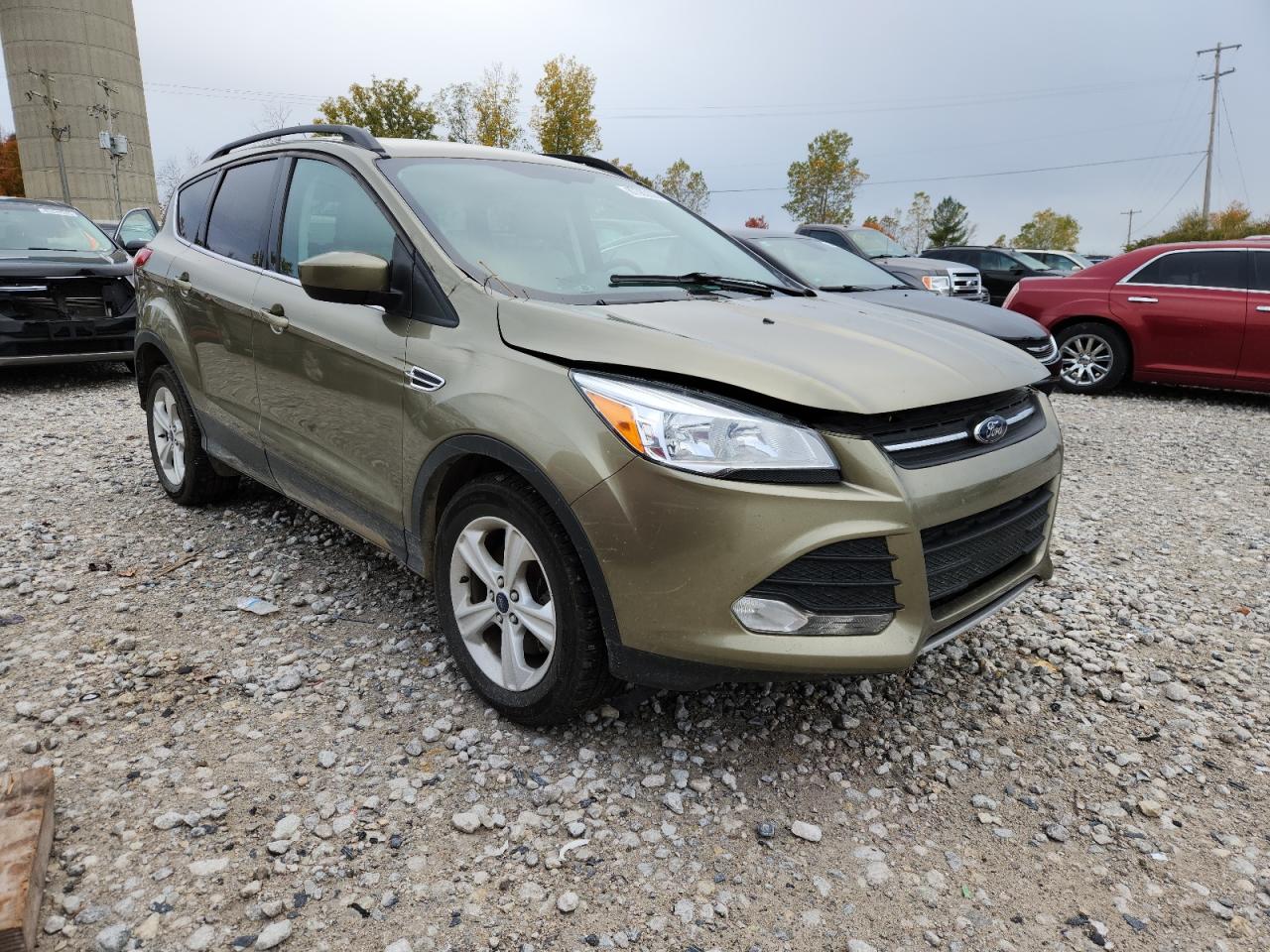Lot #3287737180 2014 FORD ESCAPE SE