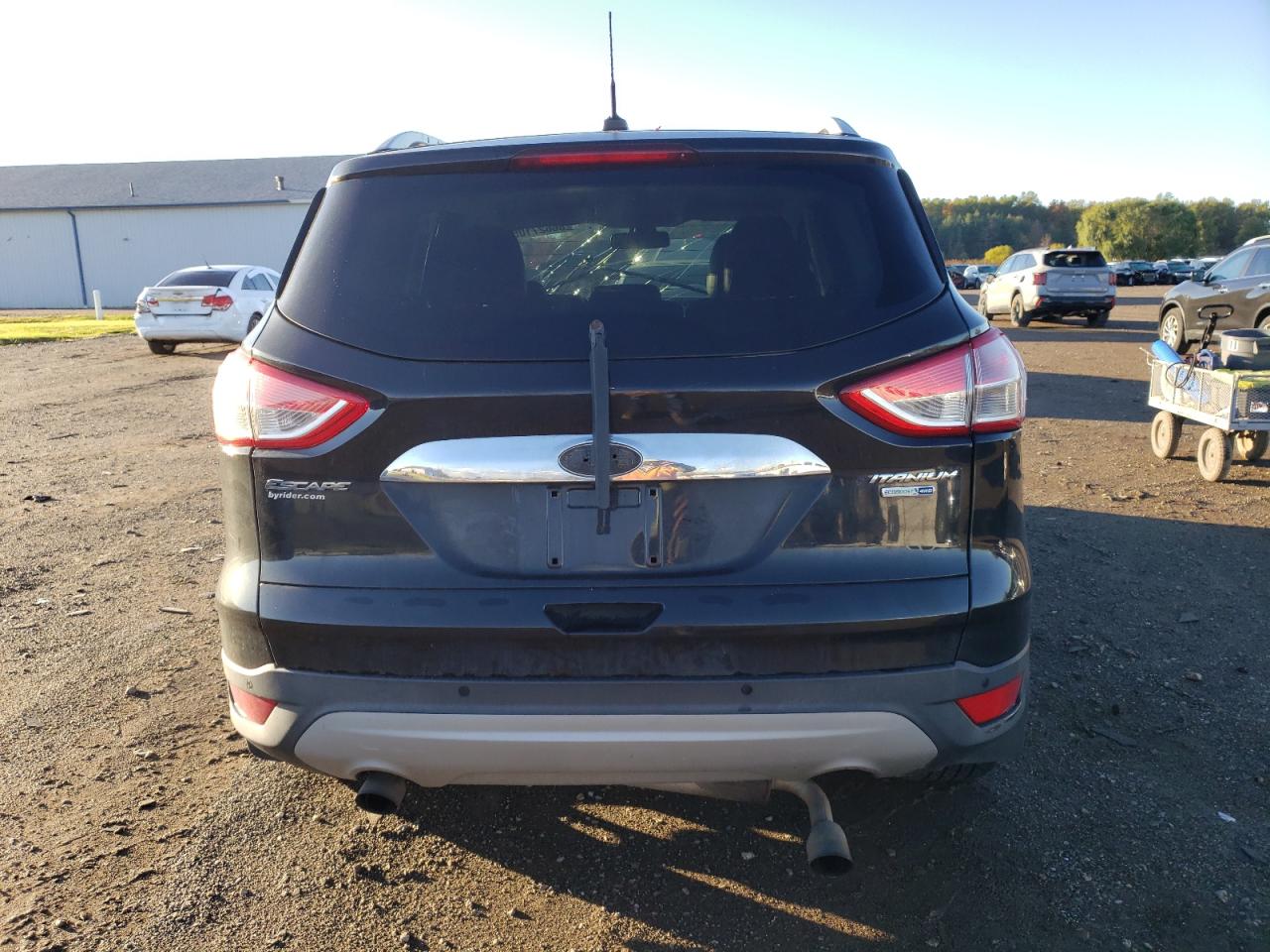 Lot #3316780421 2014 FORD ESCAPE TIT