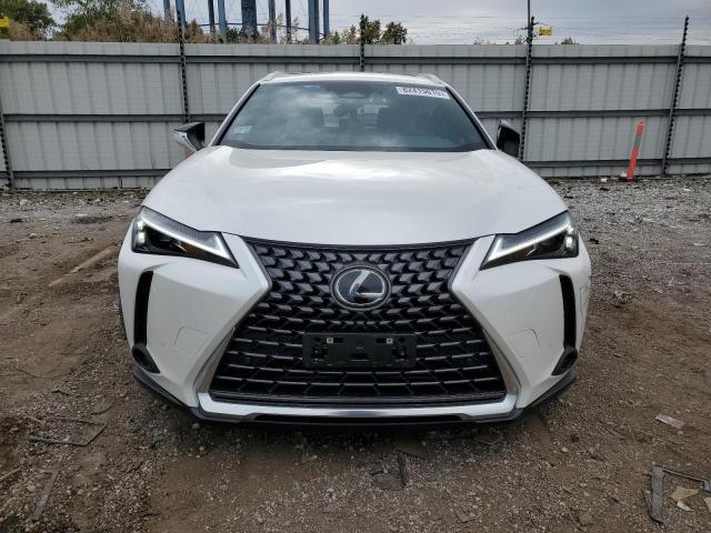 2025 LEXUS UX 300H BASE #3290245202