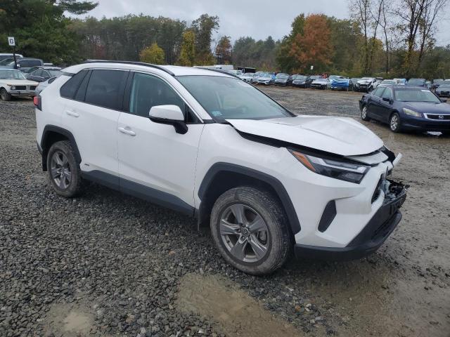 2024 TOYOTA RAV4 XLE #3304692903