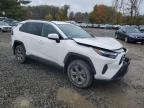 Lot #3304692903 2024 TOYOTA RAV4 XLE