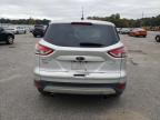 Lot #3296250521 2016 FORD ESCAPE SE