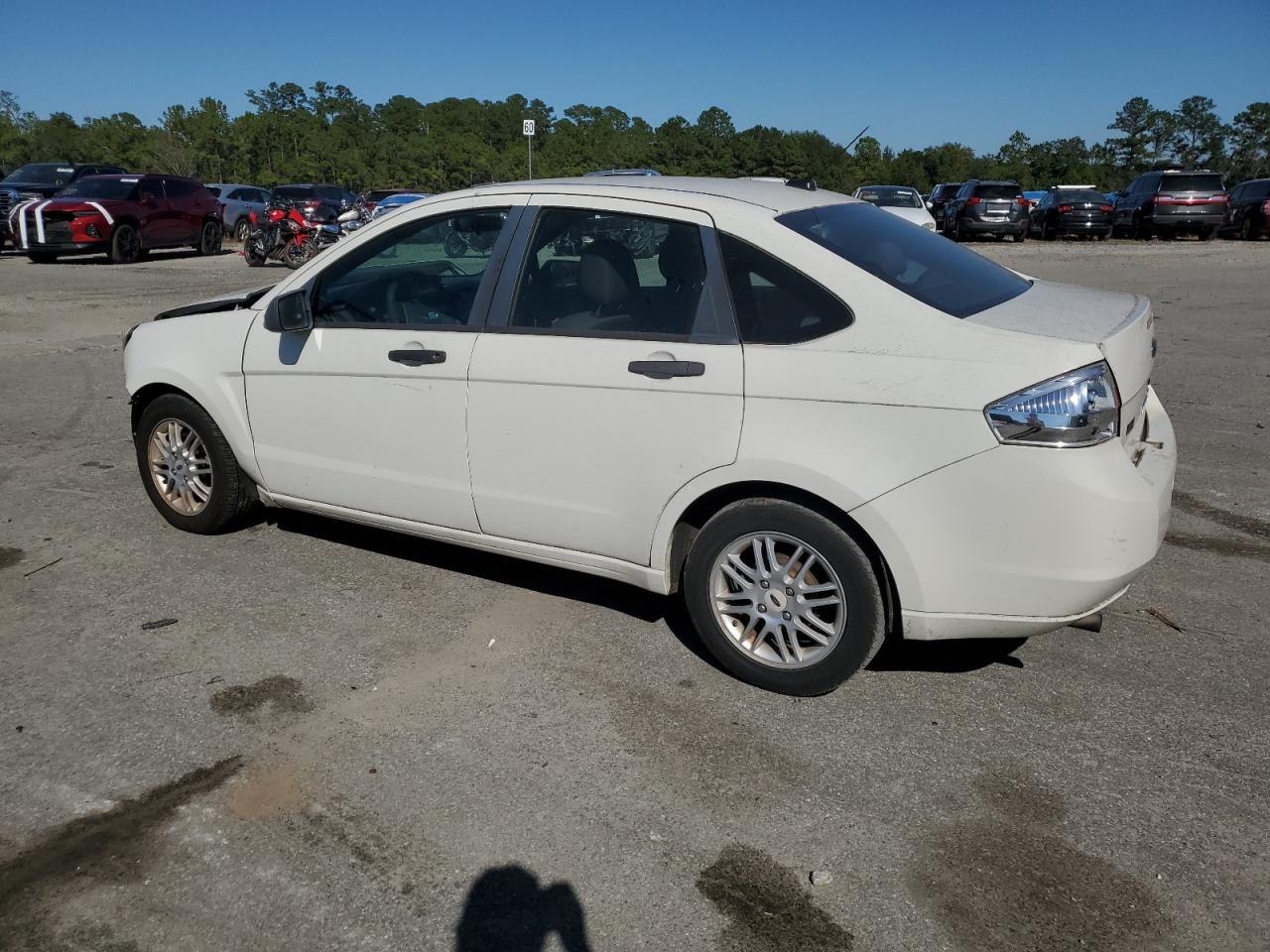Lot #3302695023 2009 FORD FOCUS SE