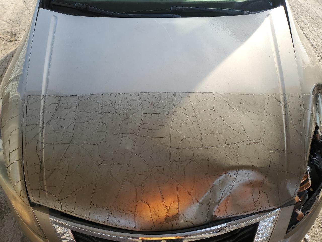 Lot #3276486162 2008 HONDA ACCORD EXL