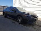 Lot #3304544455 2023 TOYOTA CAMRY SE N