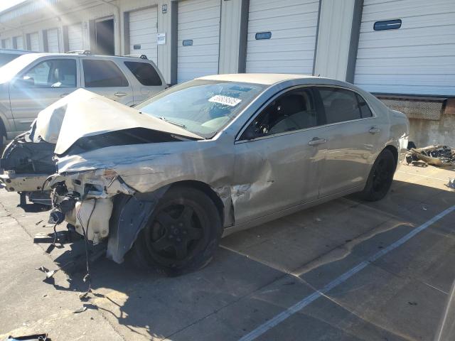 Global Auto Auctions: 2010 CHEVROLET MALIBU LS